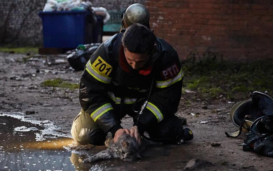 Linh cuu hoa cuu meo trong dam chay hinh anh