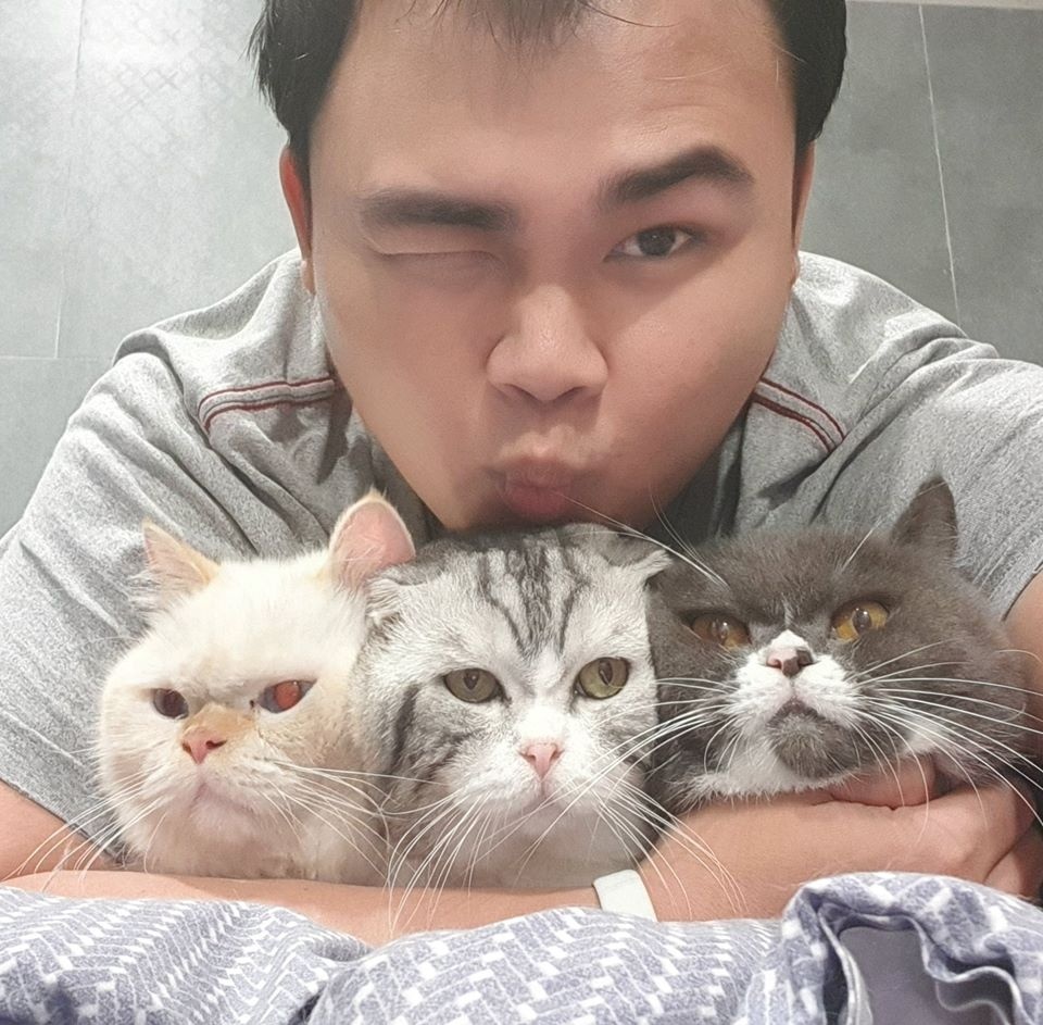mèo meme đau ở đây này ảnh 4 meo meme dau o day nay anh 4