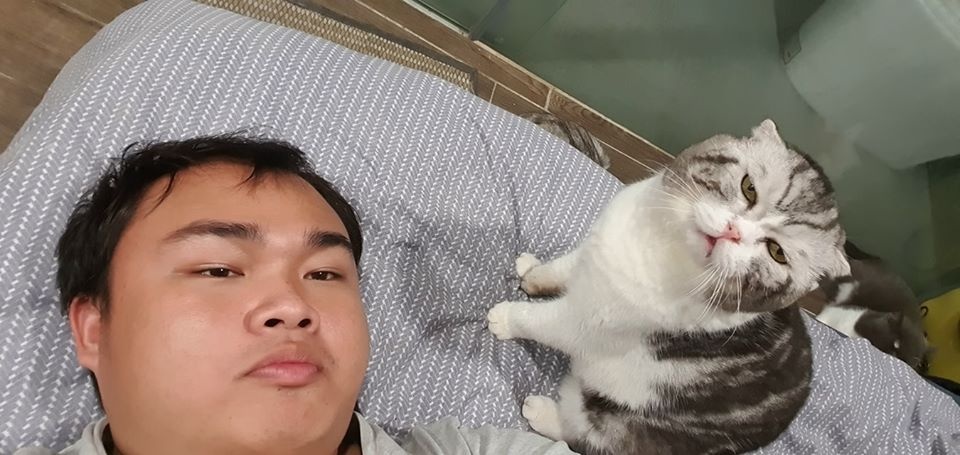 mèo meme đau ở đây này ảnh 3 meo meme dau o day nay anh 3