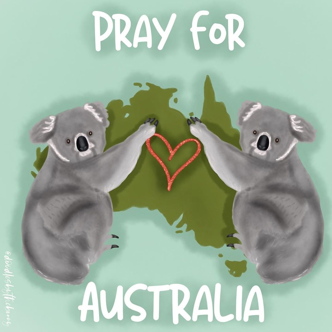 cháy rừng ở Australia ảnh 7 chay rung o Australia anh 7