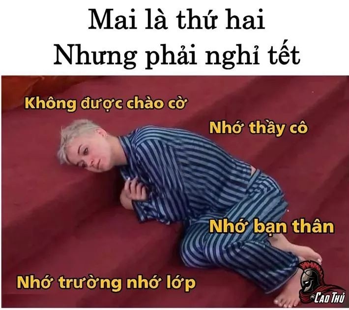 Tet don nha anh 5