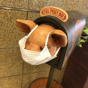 dịch corona ảnh 3 dich corona anh 3