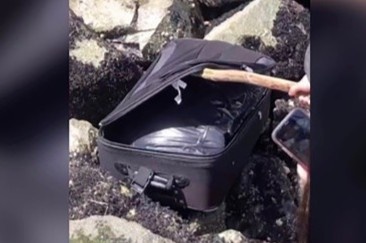 TikTok bi bao cao anh 1