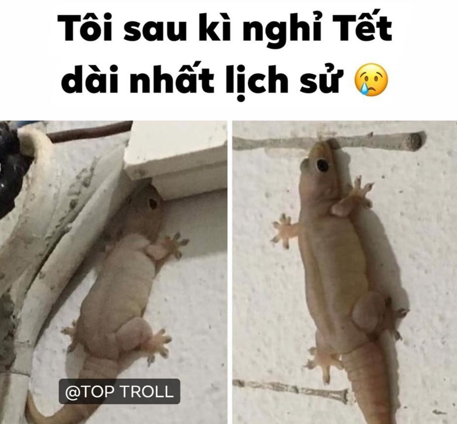 phong chong corona anh 4