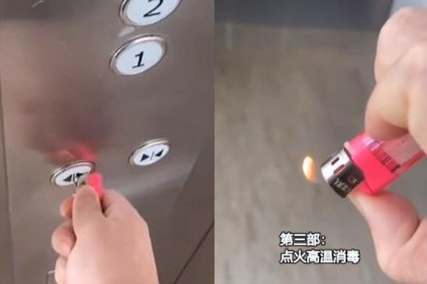 Dung tam, bat lua, hat huong duong bam thang may tranh dich corona hinh anh