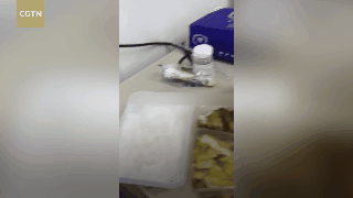 Co gi trong suat com o benh vien da chien Hoa Than Son tai Vu Han hinh anh