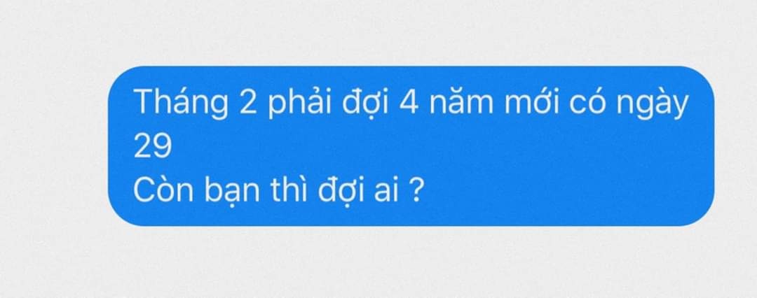 ngay cau hon 29 thang 2 anh 4
