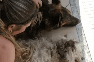 Chu cho khoc nghen vi tuong ban minh da chet hinh anh