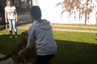 Nhung khoanh khac xuc dong khi chu nhan gap lai cho that lac hinh anh