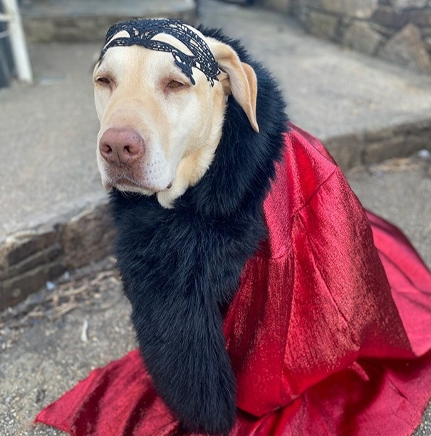 quan ao vui nhon anh 4