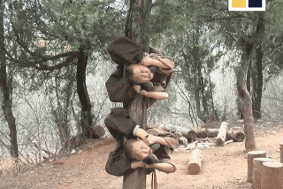 Tieu hoa thuong Thieu Lam Tu kho luyen kung fu hinh anh