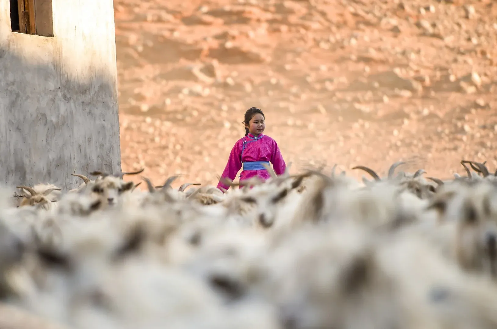 hoc online o hoang mac anh 9