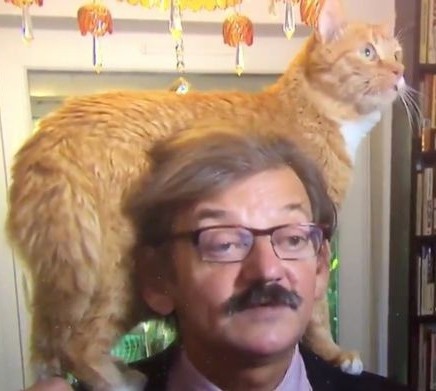 thu cung len truyen hinh anh 9