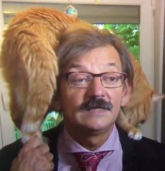 thu cung len truyen hinh anh 8