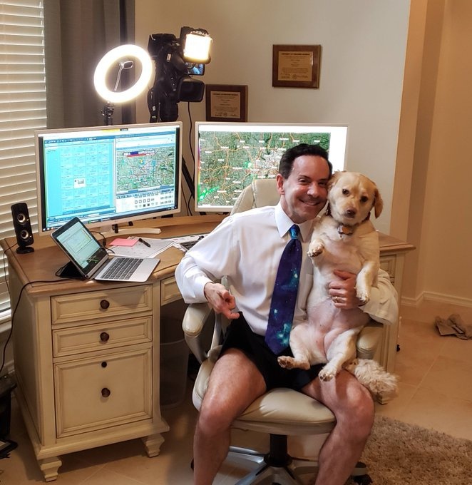 thu cung len truyen hinh anh 2