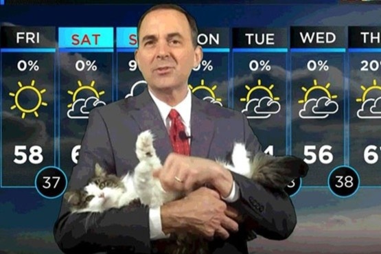 3 thu cung bat ngo noi tieng khi chiem song truyen hinh truc tiep hinh anh