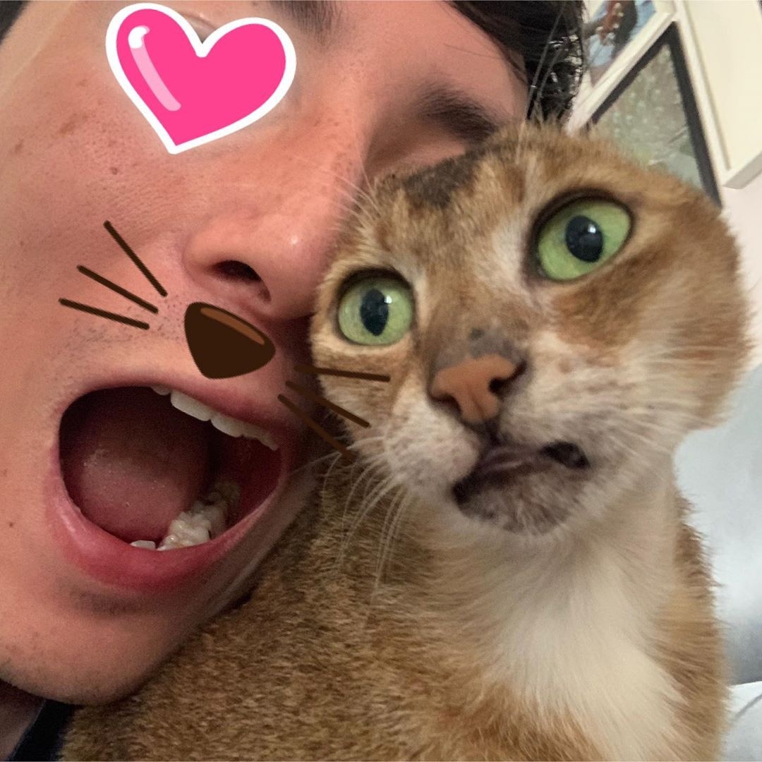 chu meo khong tai anh 8