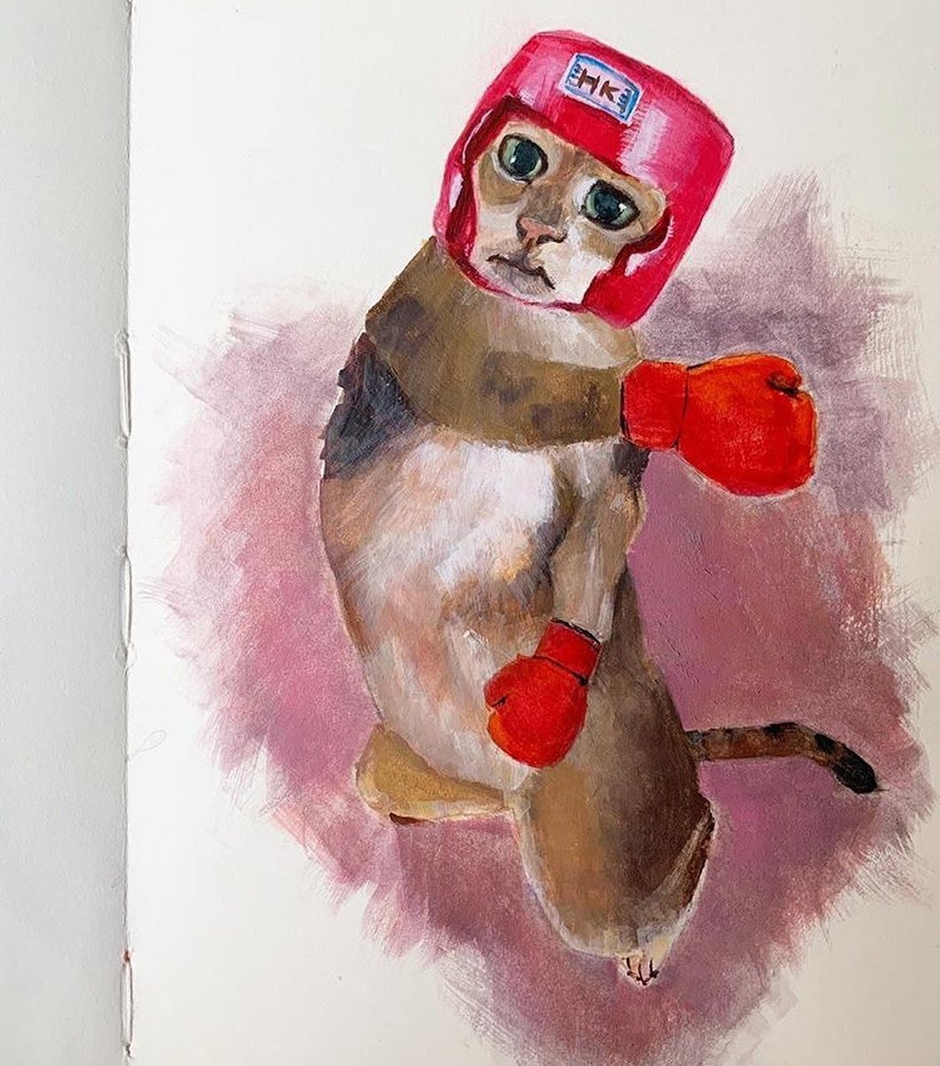 chú mèo không tai ảnh 10 chu meo khong tai anh 10