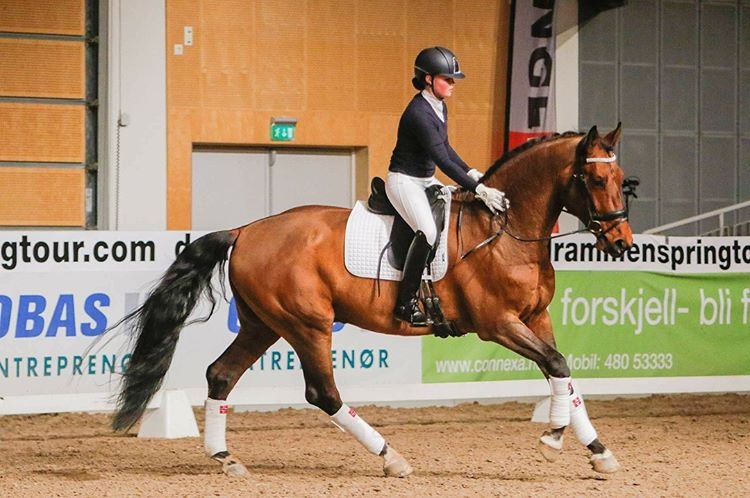 nu ty phu me dua ngua anh 3