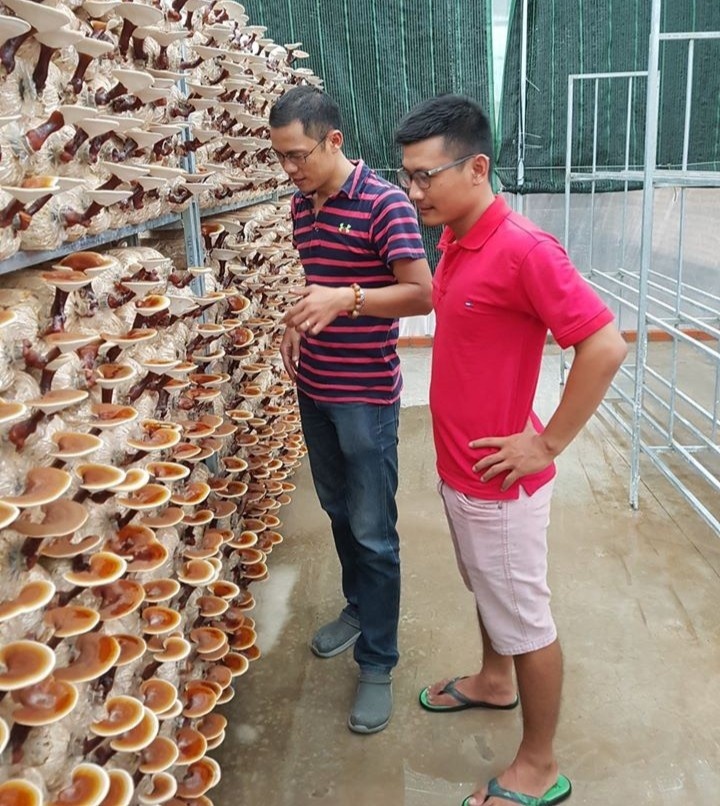 khởi nghiệp trồng nấm ảnh 2 khoi nghiep trong nam anh 2