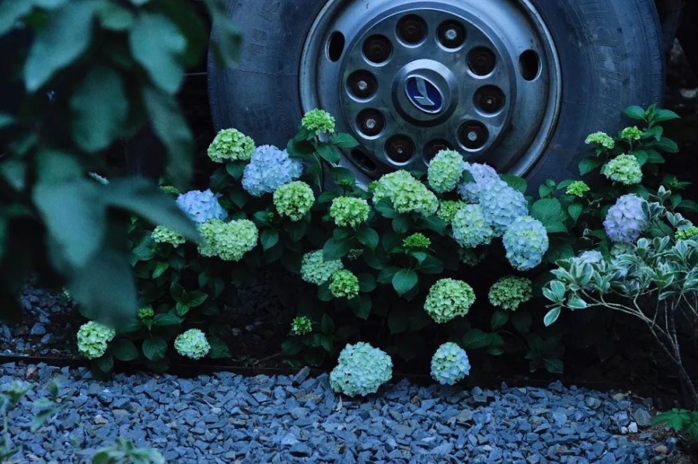 Cai tao xe bus anh 7