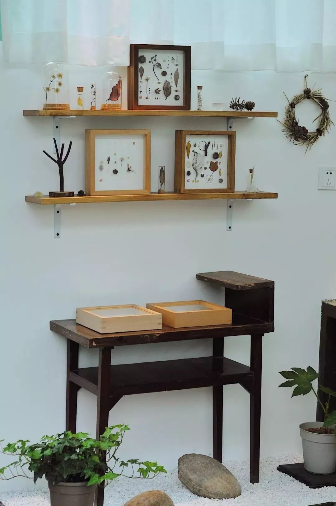 Cai tao xe bus anh 5