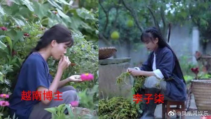 Bep tren dinh doi dao nhai anh 1