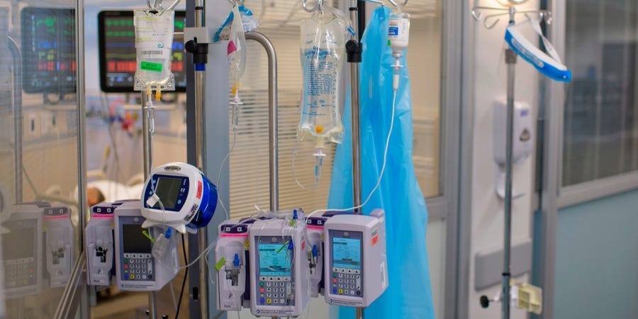 chau lay virus cho ong anh 1