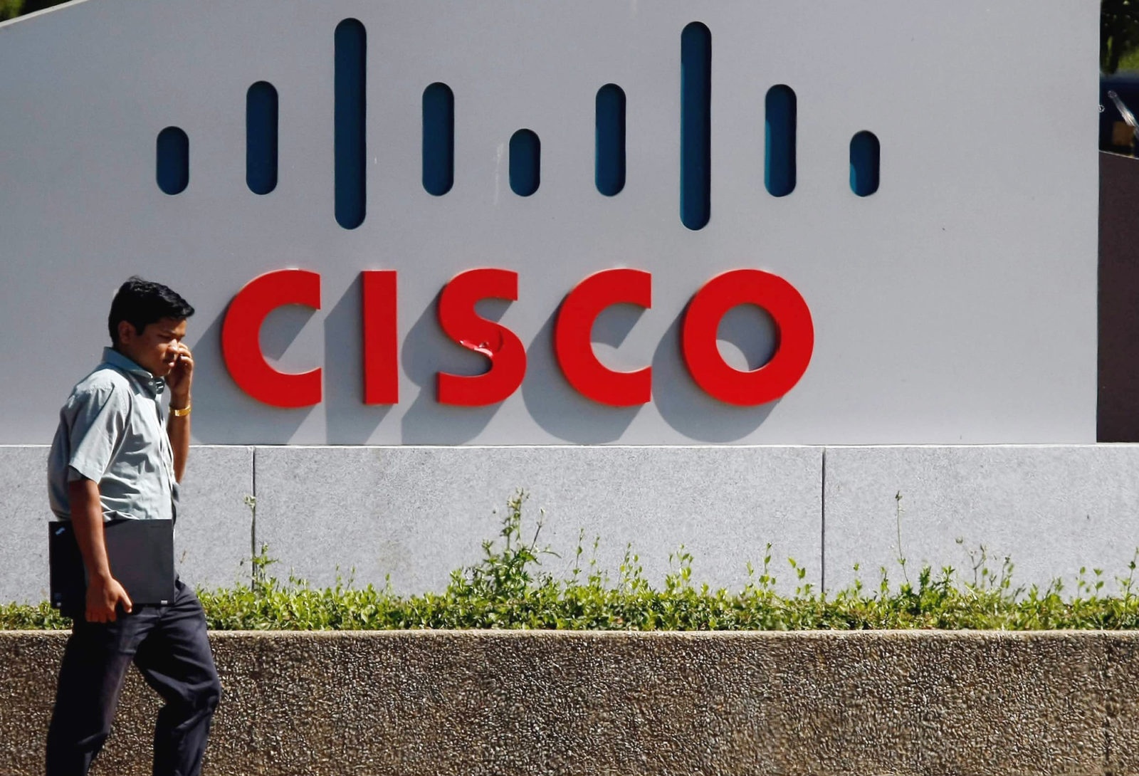 Nguoi An ruong bo dong huong o thung lung Silicon hinh anh