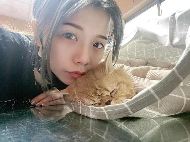 ngược đãi mèo ảnh 3 nguoc dai meo anh 3