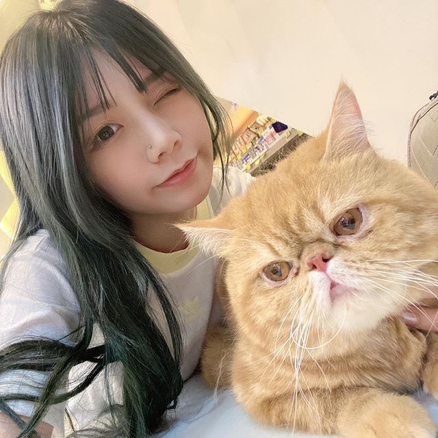 ngược đãi mèo ảnh 5 nguoc dai meo anh 5