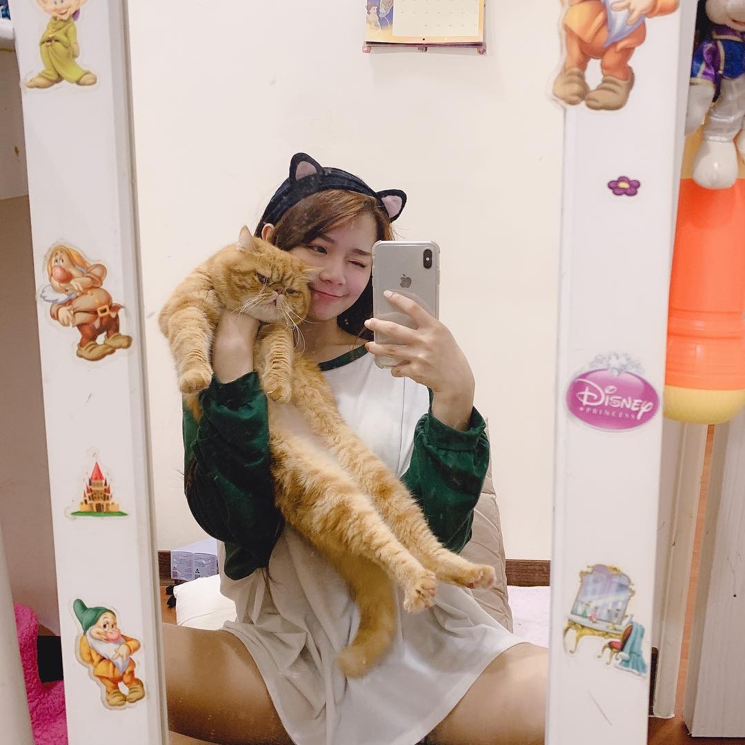 ngược đãi mèo ảnh 2 nguoc dai meo anh 2