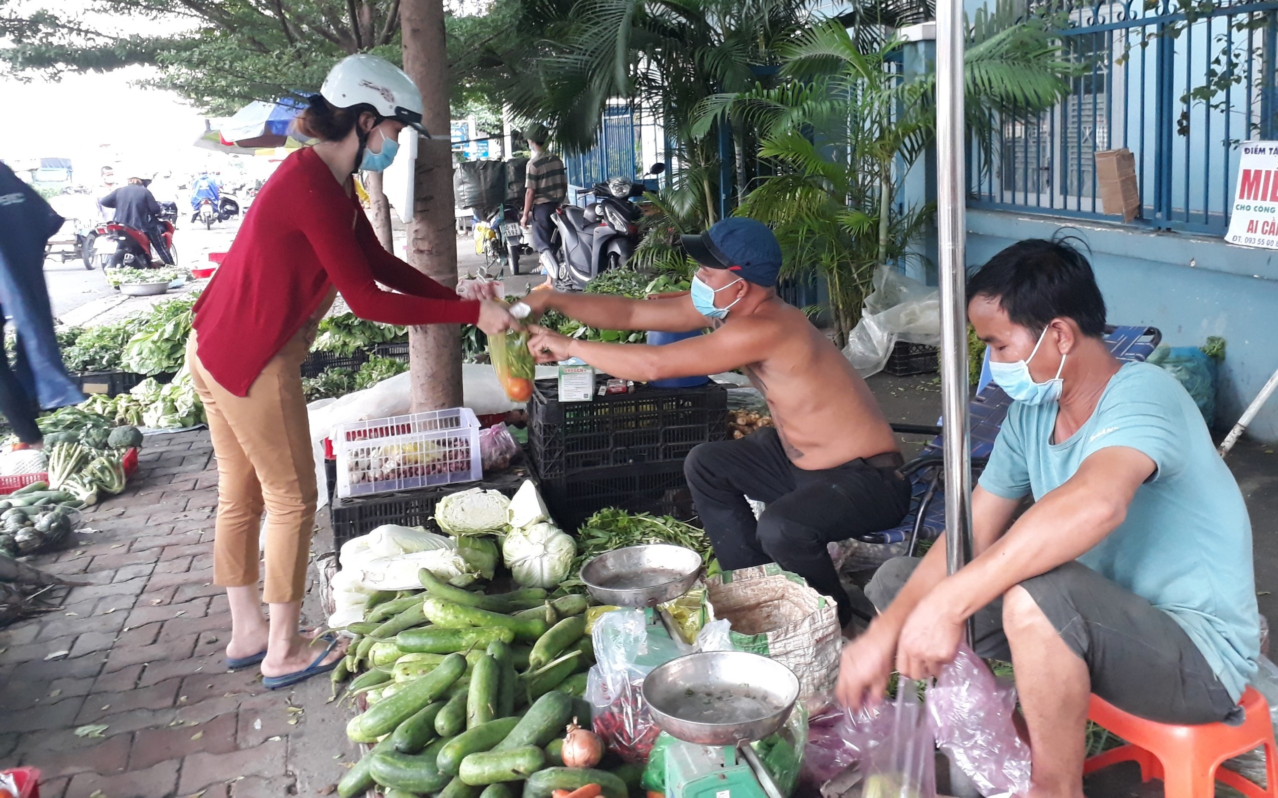 phát rau miễn phí ảnh 4 phat rau mien phi anh 4