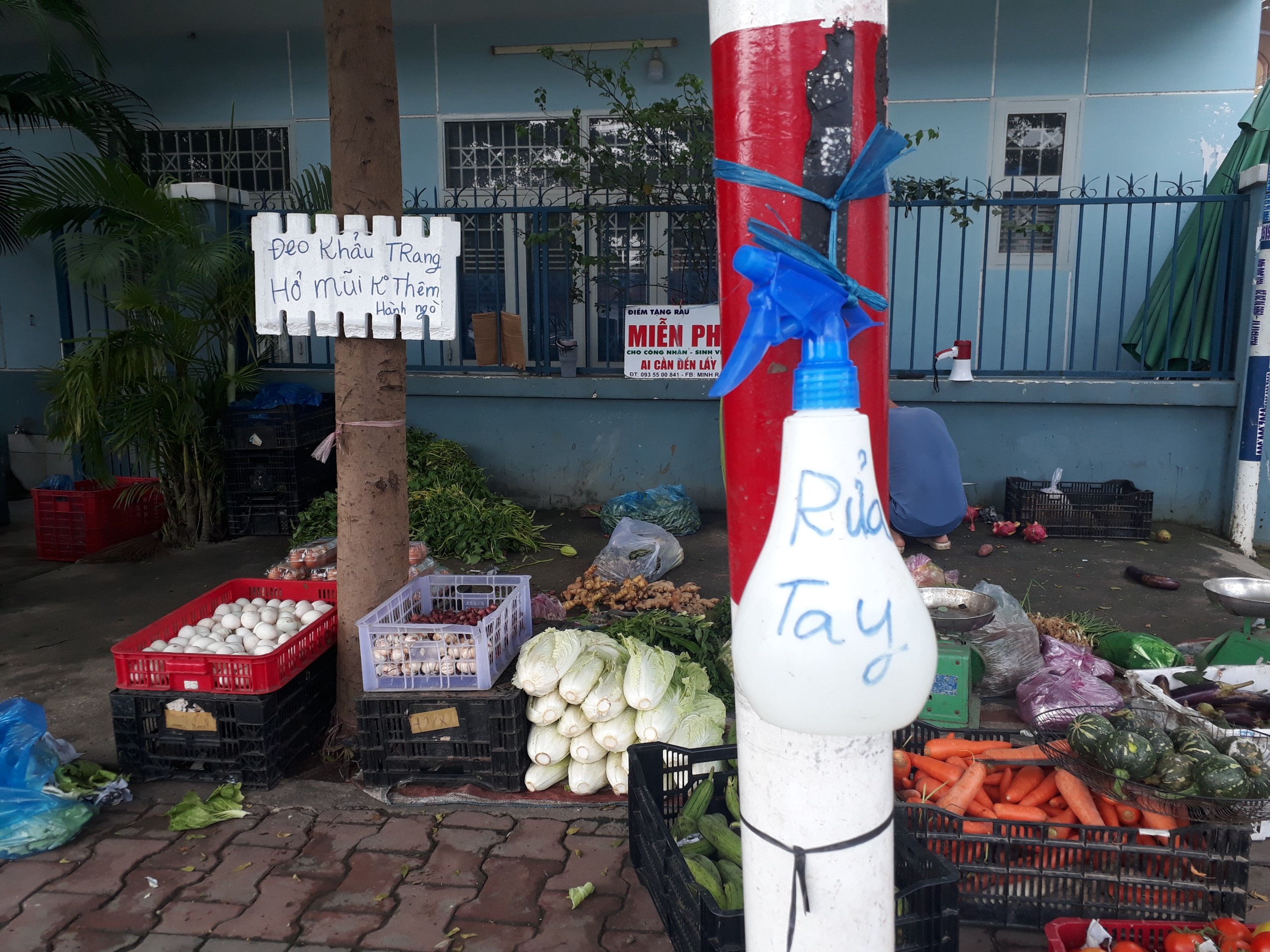 phát rau miễn phí ảnh 3 phat rau mien phi anh 3