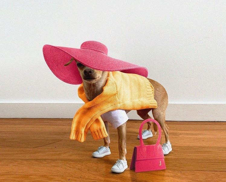 cho thoi trang anh 8