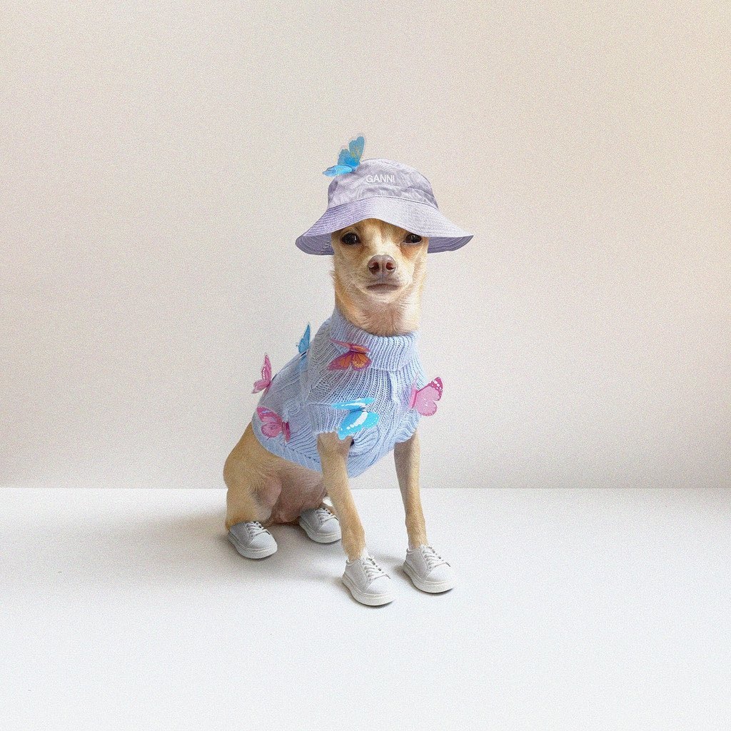 cho thoi trang anh 6