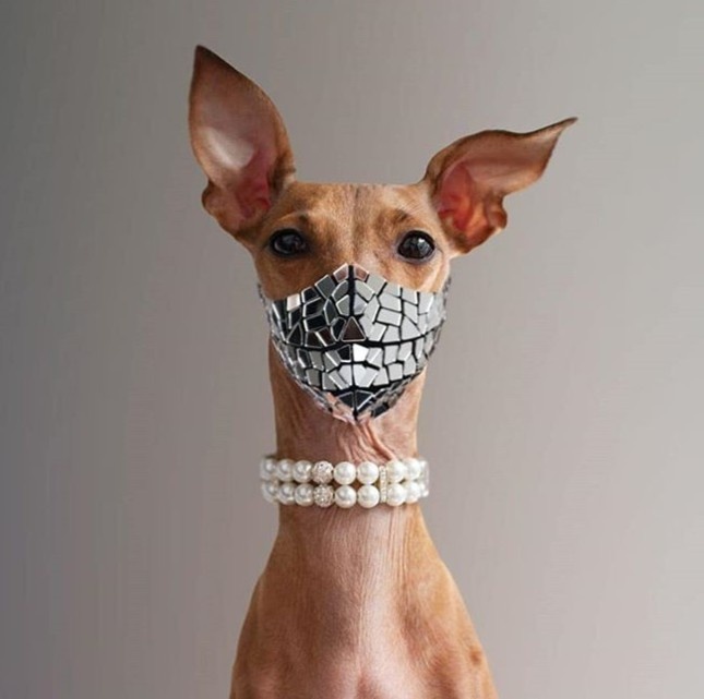 cho thoi trang anh 10