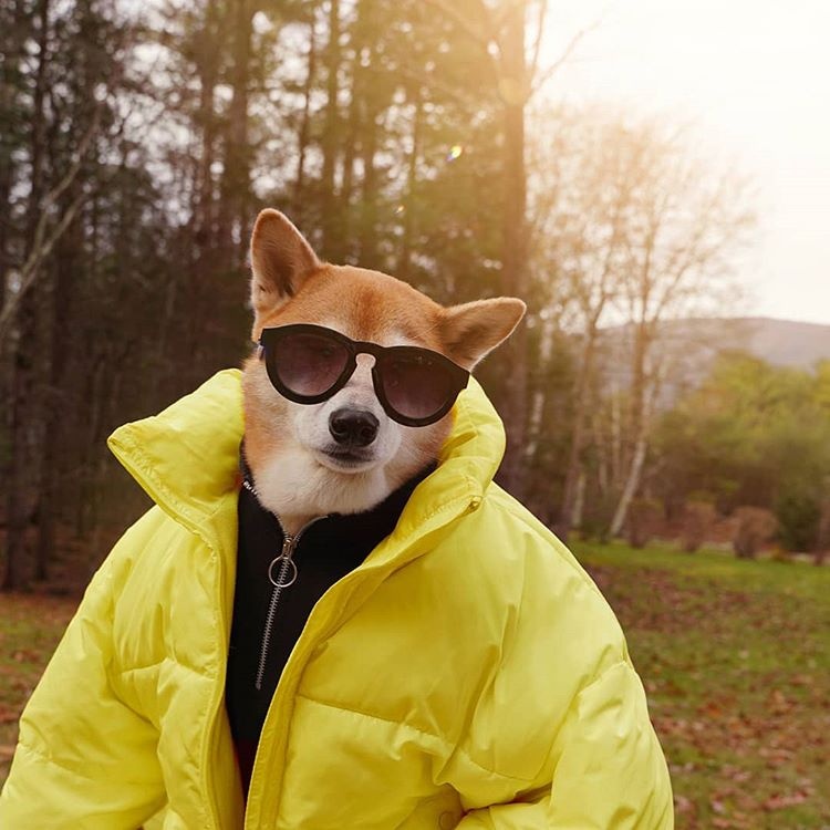 cho thoi trang anh 3