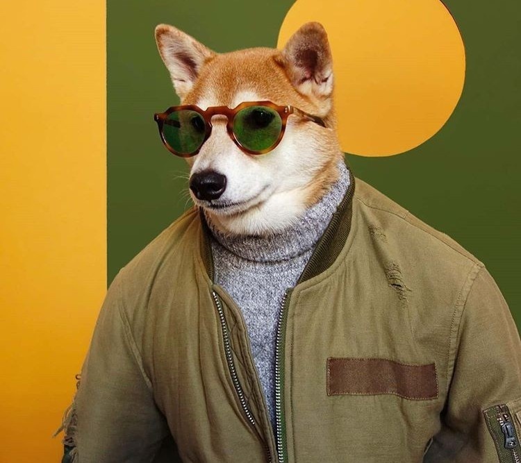 cho thoi trang anh 1