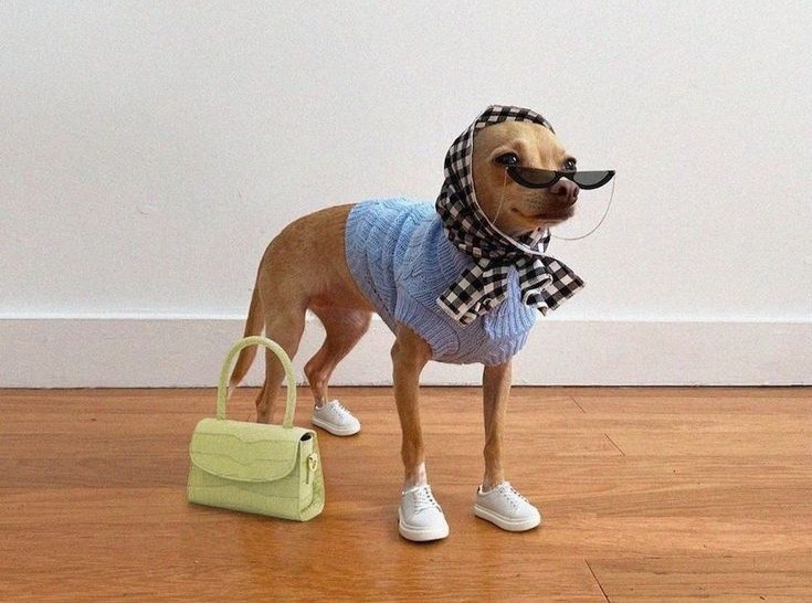 cho thoi trang anh 5