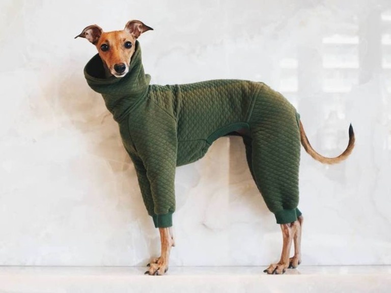 cho thoi trang anh 9