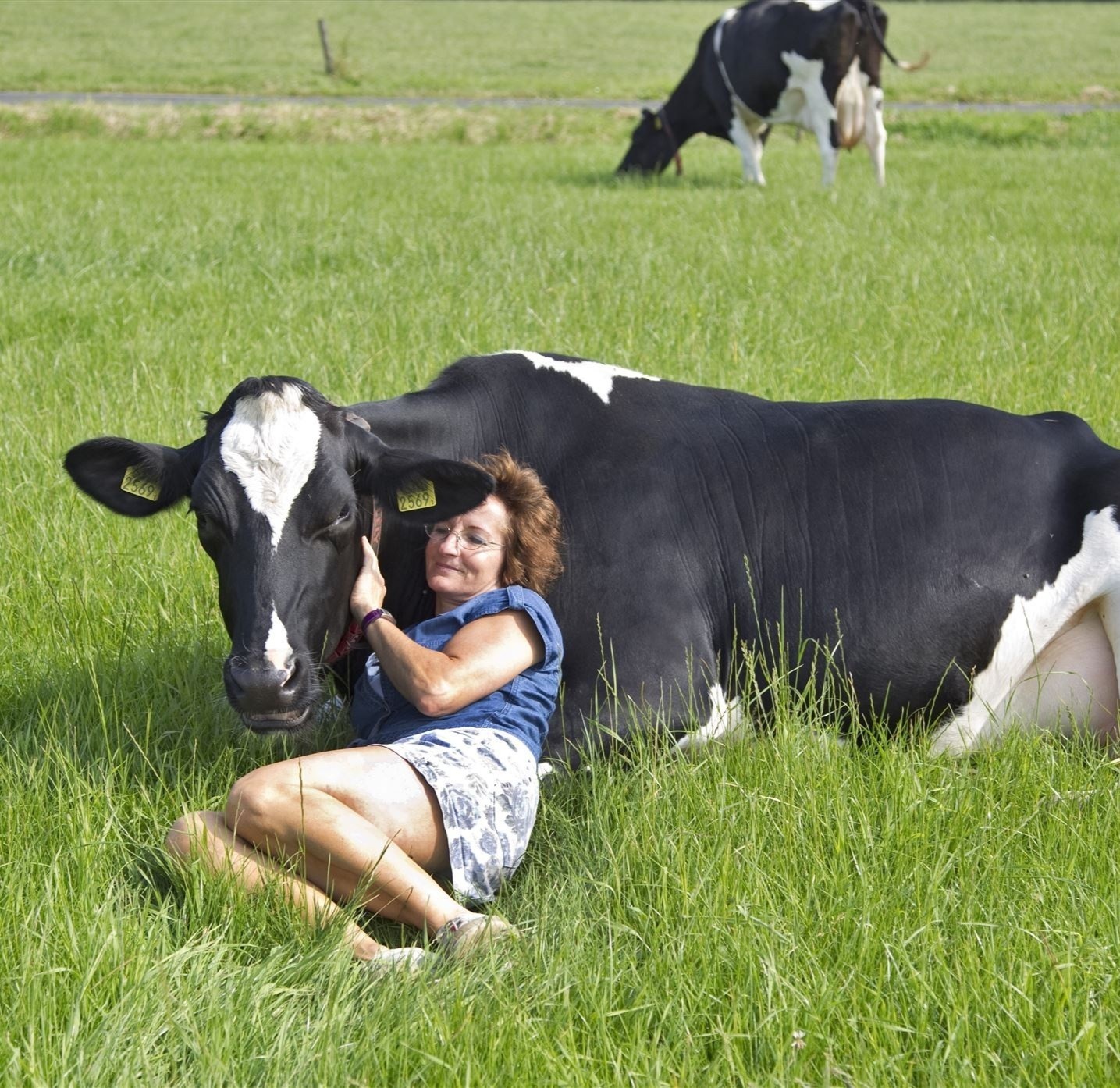 ôm bò để hạnh phúc ảnh 2 om bo de hanh phuc anh 2