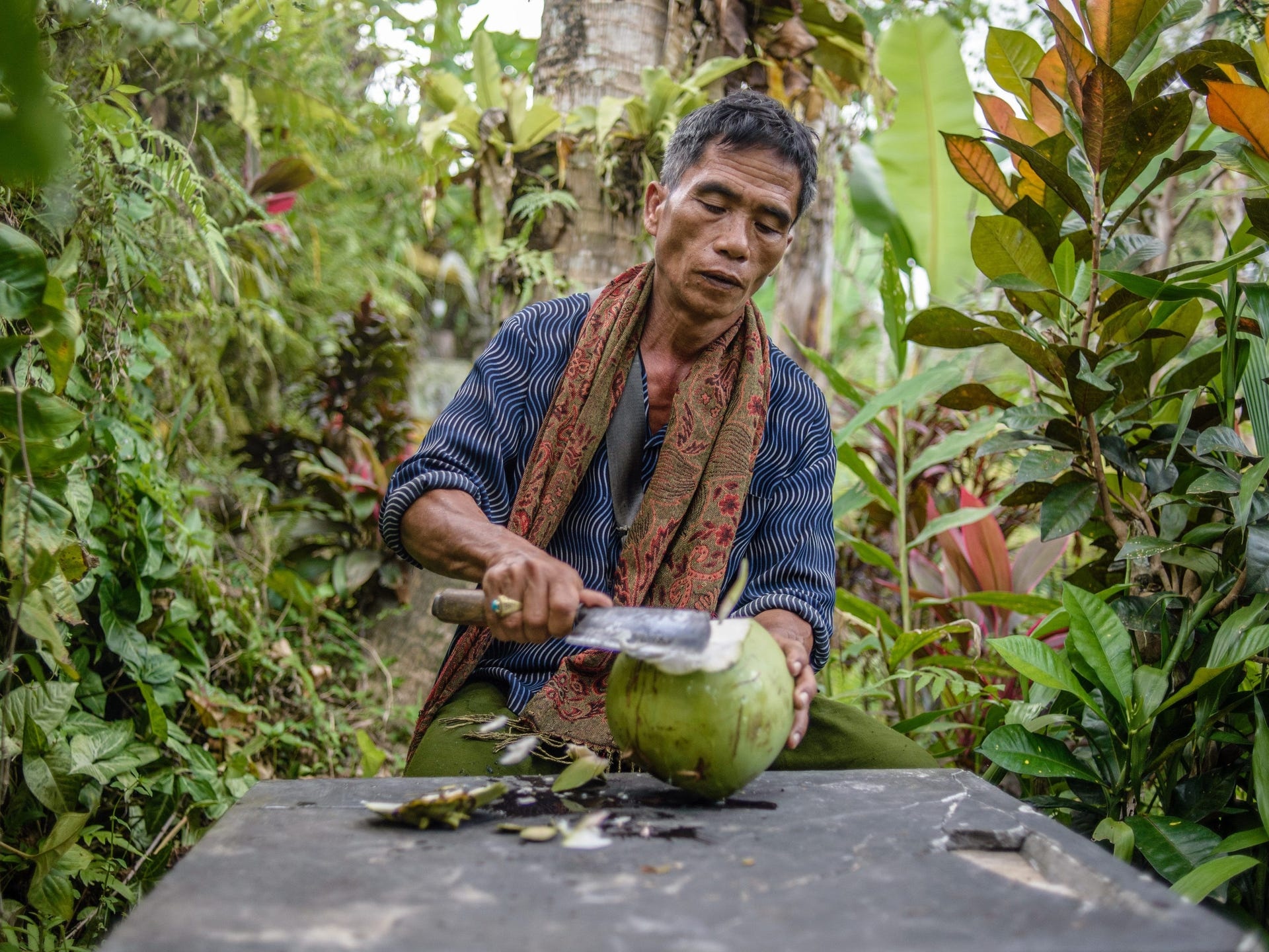 tra hoc phi bang dua anh 1