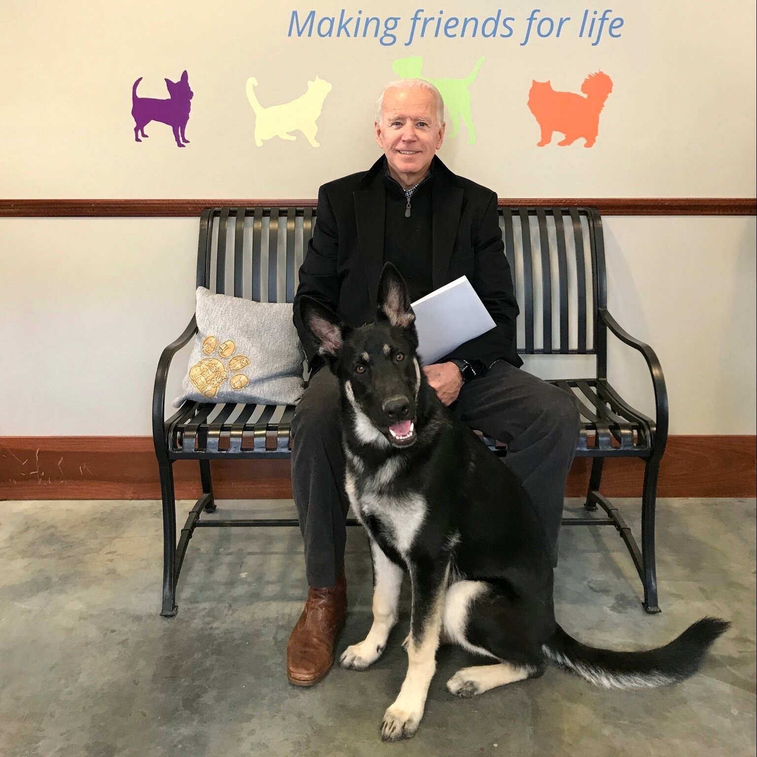 cho cua tong thong anh 1