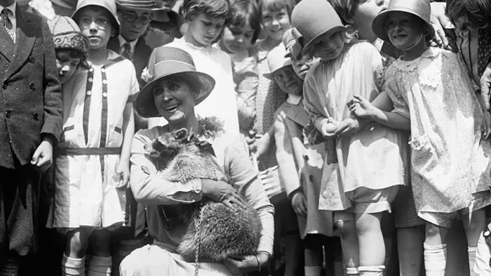 cho cua tong thong anh 6