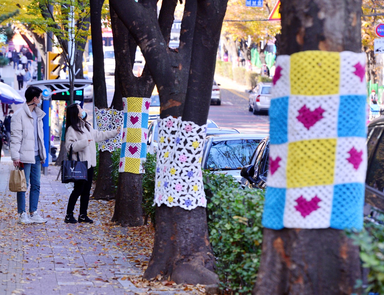 mac ao cho cay anh 2