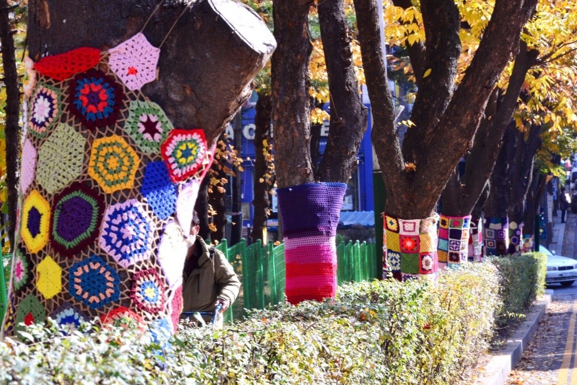 mac ao cho cay anh 6