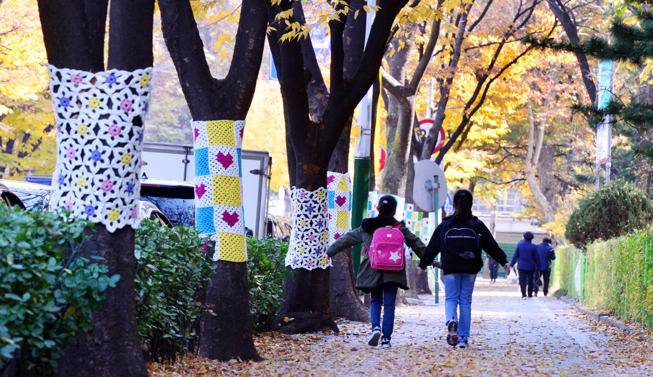 mac ao cho cay anh 1