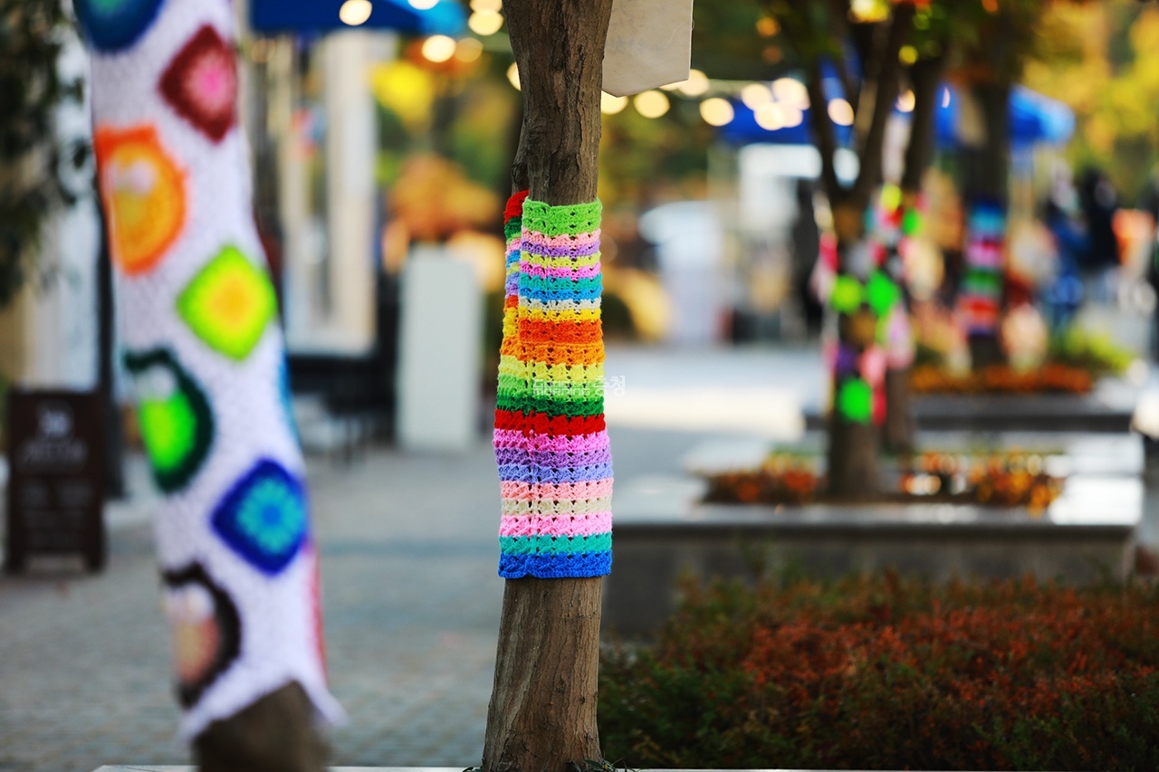 mac ao cho cay anh 8