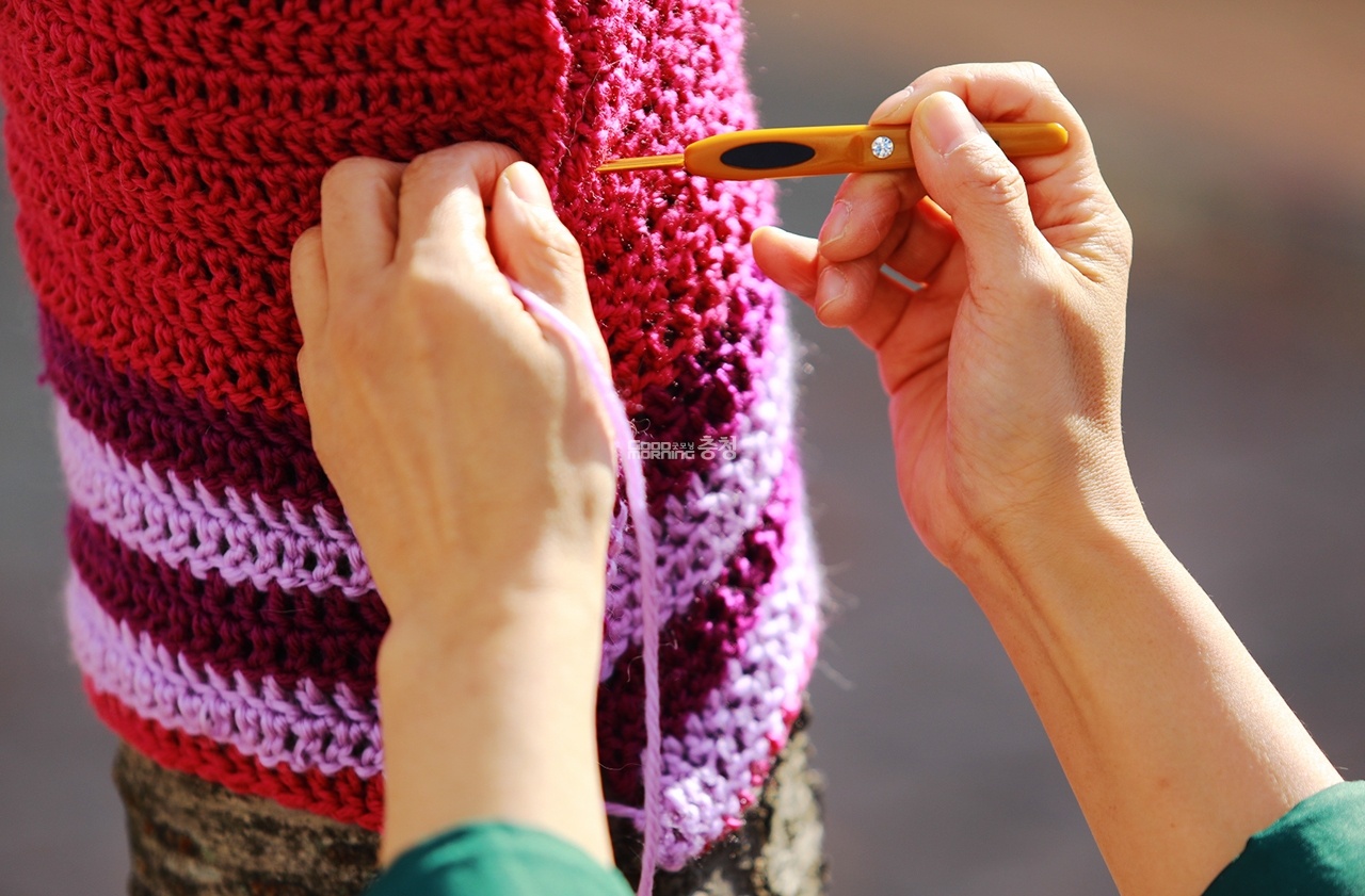 mac ao cho cay anh 5